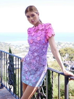 Elliott Elle Mini Dress in Pink & Blue Ombre size medium